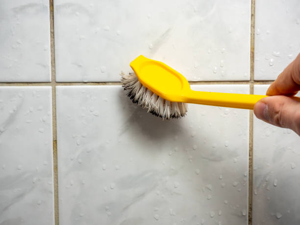 Best Office Mold Removal Services  in New Iberia, LA