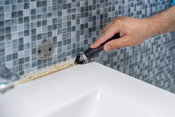 Trusted New Iberia, LA Mold Removal Experts
