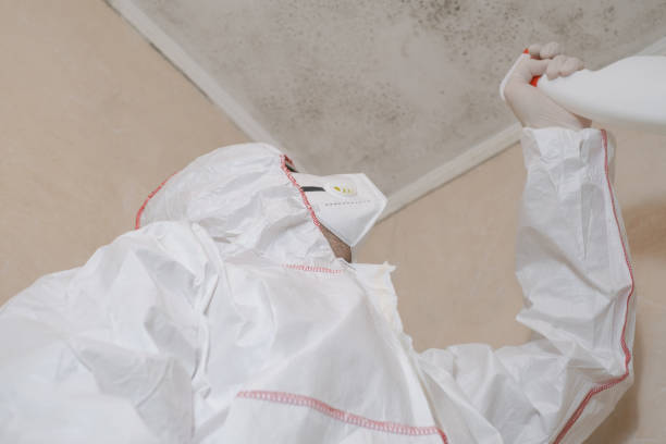 Best Mold Remediation  in New Iberia, LA